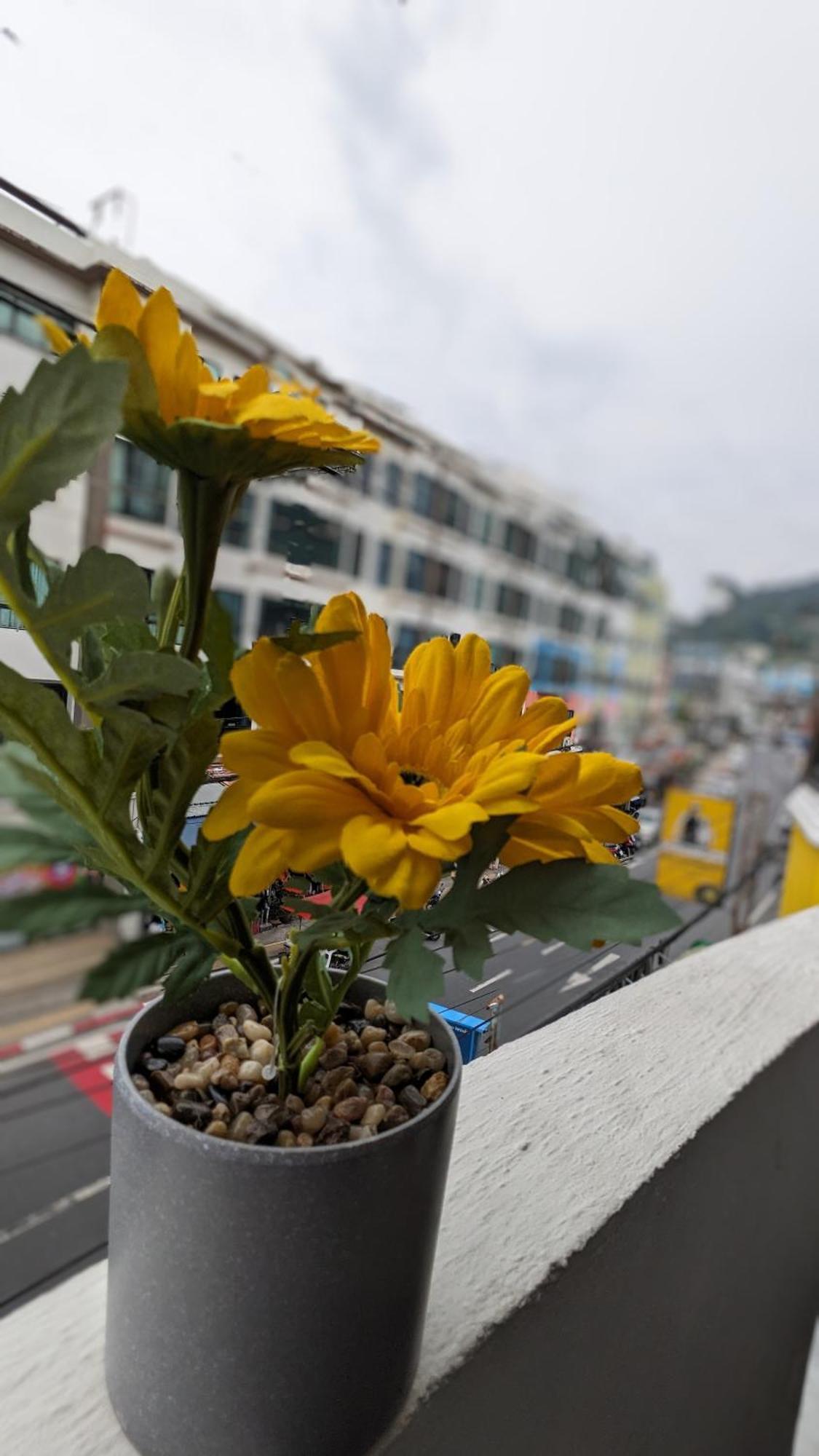 Patong Heaven House Restro & Bar酒店 外观 照片